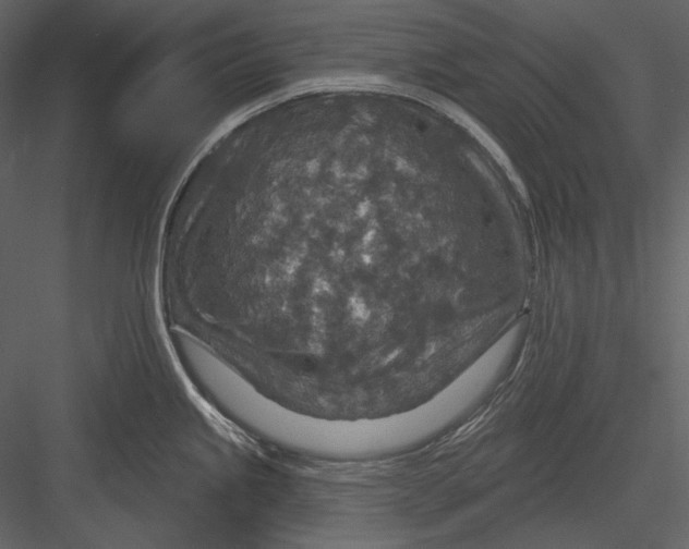 X0000082931245200702222211