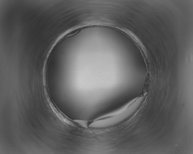 X0000082931246200702222211