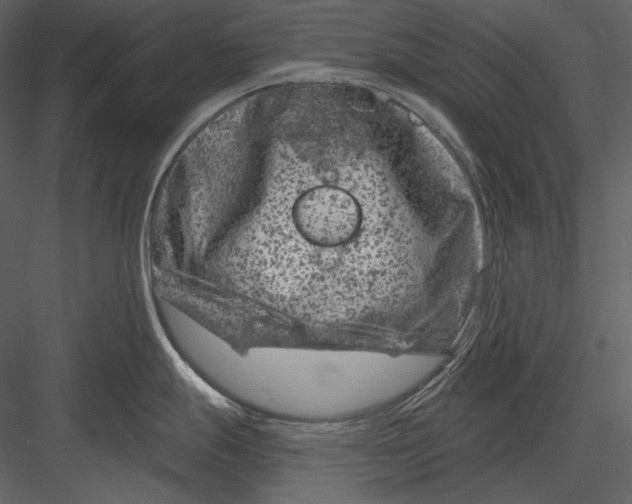 X0000082931247200702222211