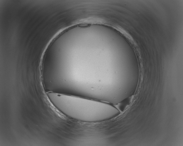 X0000082931248200702222211