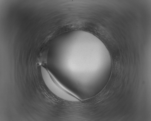 X0000082931250200702222210