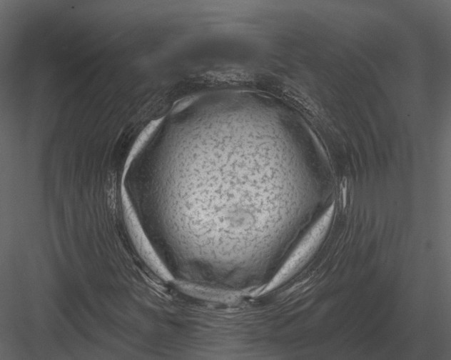 X0000082931251200702222210