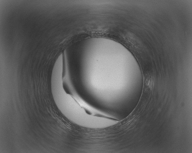 X0000082931252200702222210