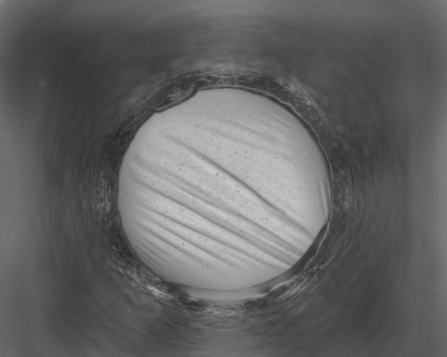 X0000082931253200702222210