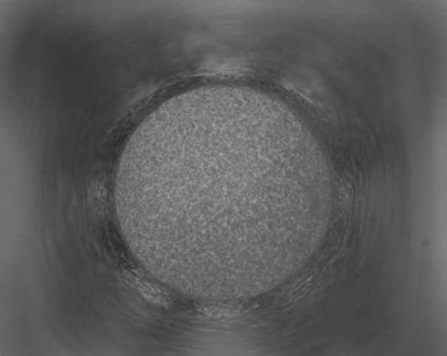 X0000082931254200702222210