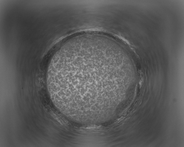 X0000082931255200702222210