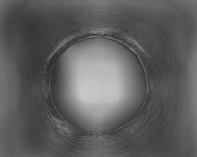 X0000082931256200702222210