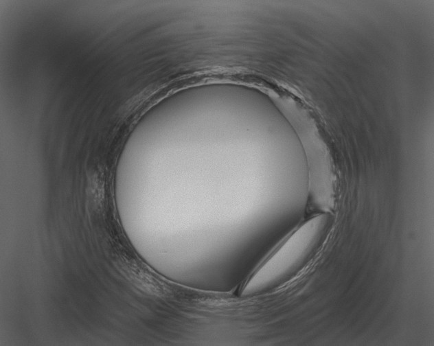 X0000082931257200702222210