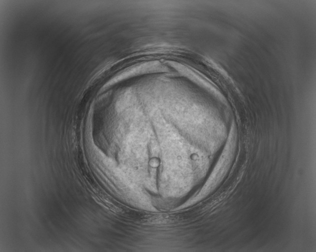 X0000082931259200702222210