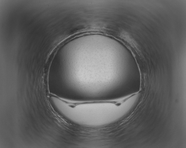 X0000082931260200702222210