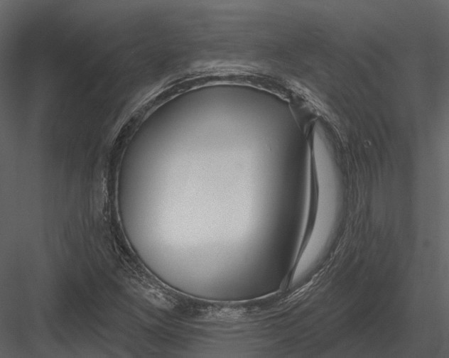 X0000082931261200702222210