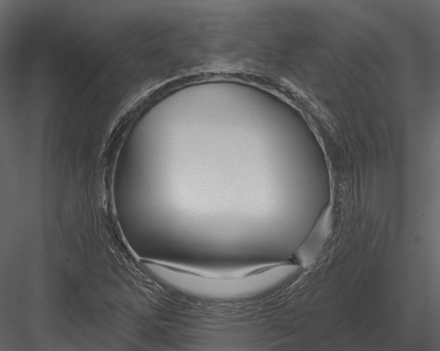 X0000082931262200702222210