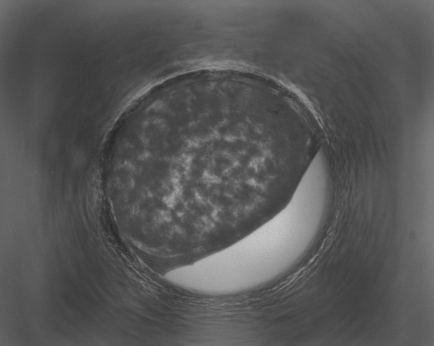 X0000082931263200702222210