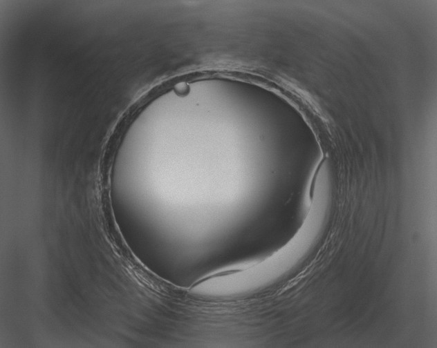 X0000082931264200702222210