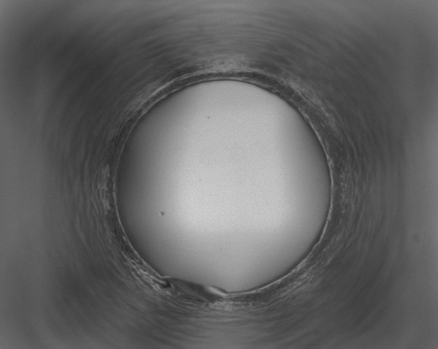 X0000082931265200702222210