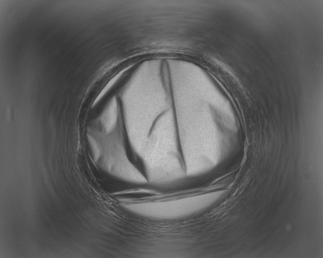 X0000082931267200702222210