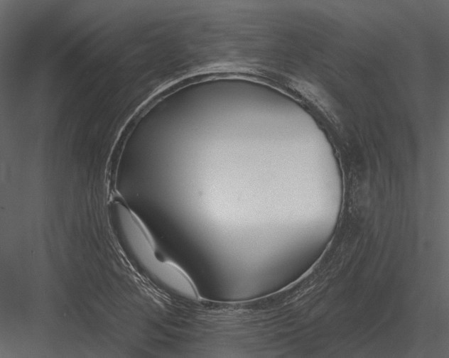 X0000082931268200702222210