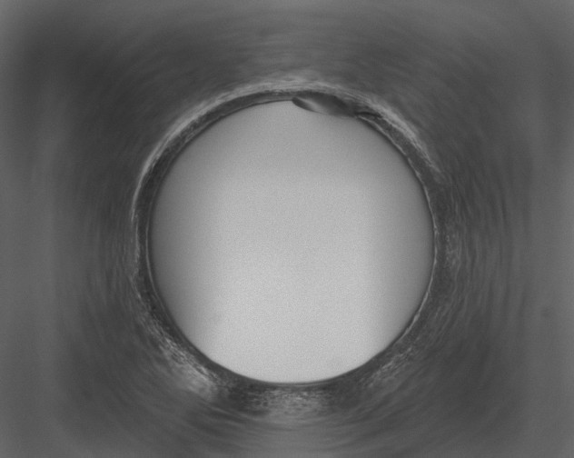 X0000082931270200702222210