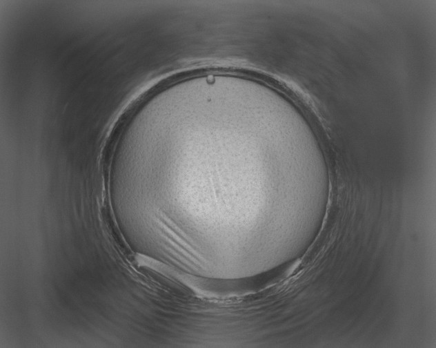 X0000082931271200702222210