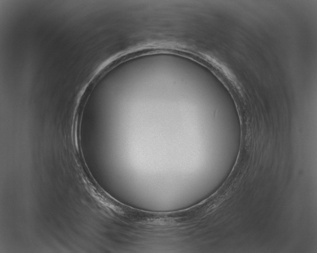 X0000082931272200702222210