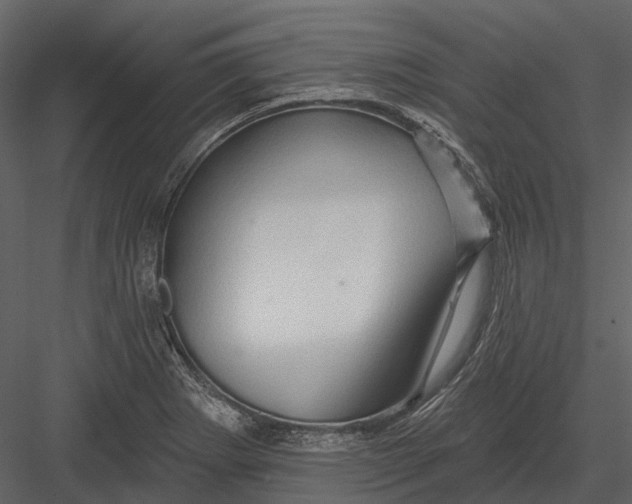 X0000082931273200702222210