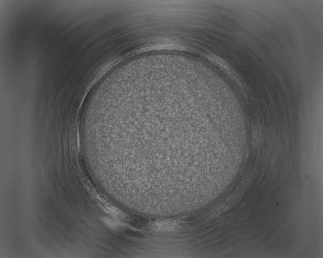 X0000082931274200702222210