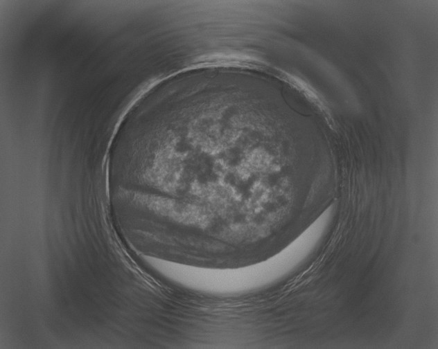 X0000082931275200702222210