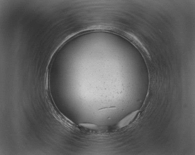 X0000082931276200702222210