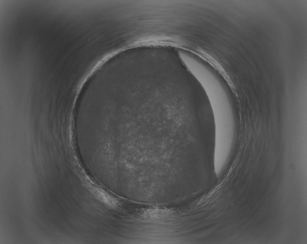 X0000082931277200702222210