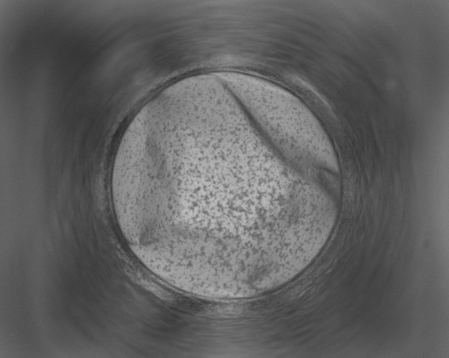 X0000082931278200702222210