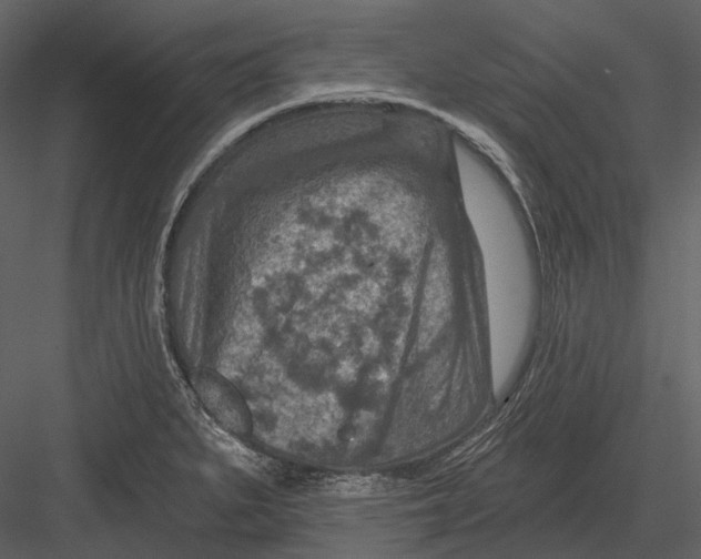 X0000082931279200702222210