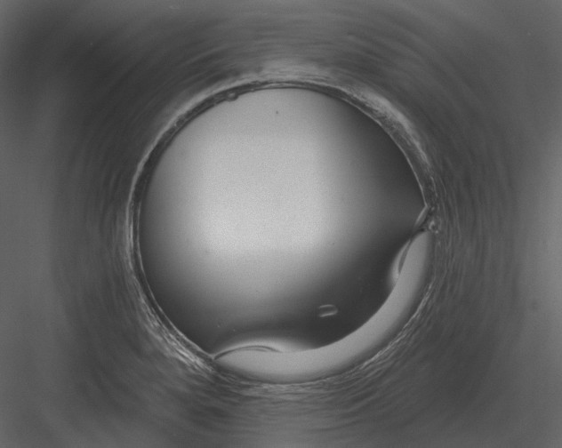 X0000082931280200702222210