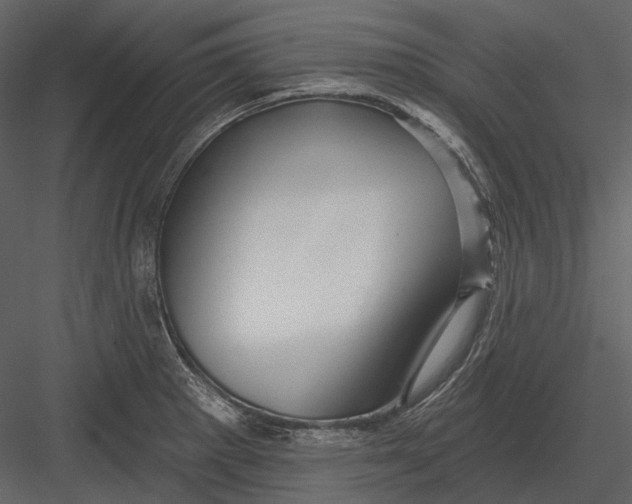 X0000082931281200702222210