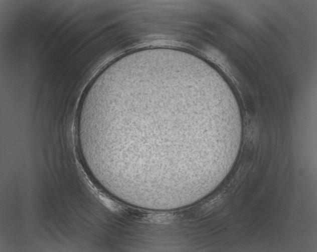 X0000082931282200702222210