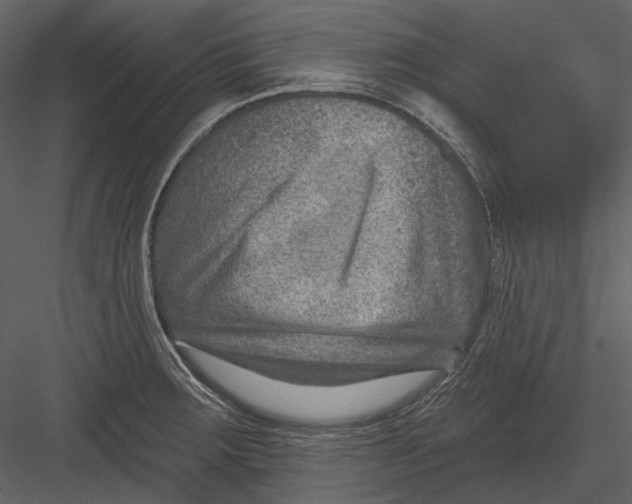 X0000082931283200702222210