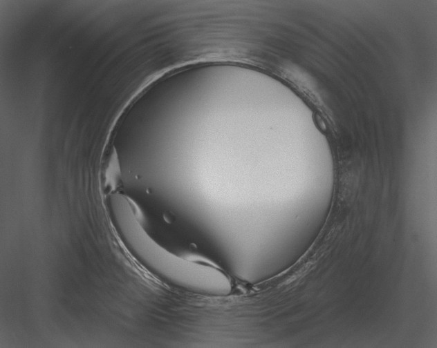 X0000082931284200702222210