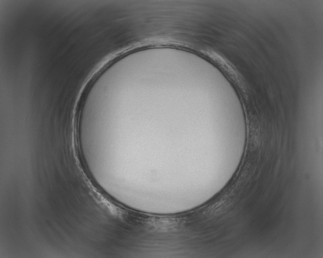 X0000082931286200702222210