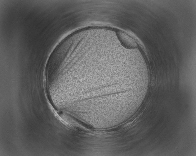 X0000082931287200702222210