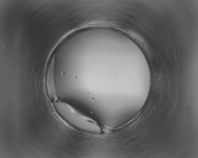 X0000082931288200702222210