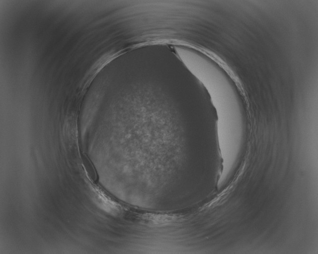 X0000082931289200702222209