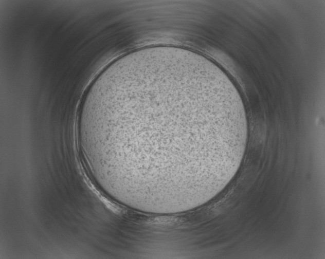 X0000082931290200702222209