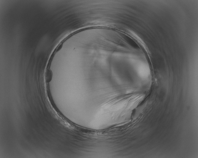 X0000082931291200702222209