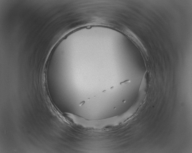 X0000082931292200702222209