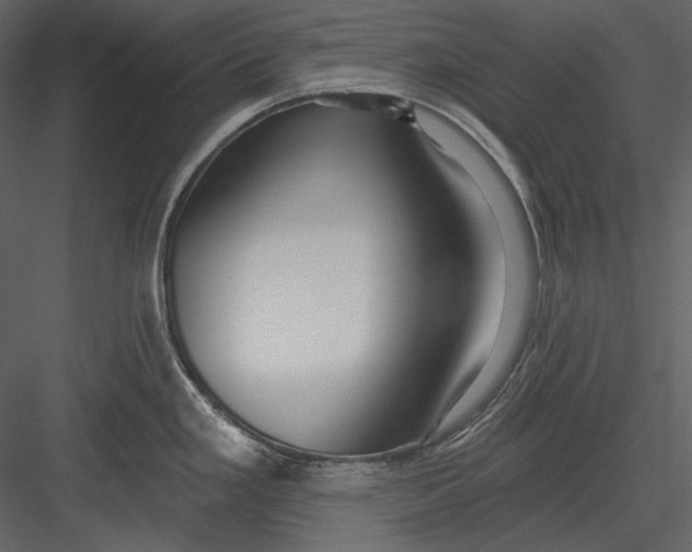 X0000082931293200702222209