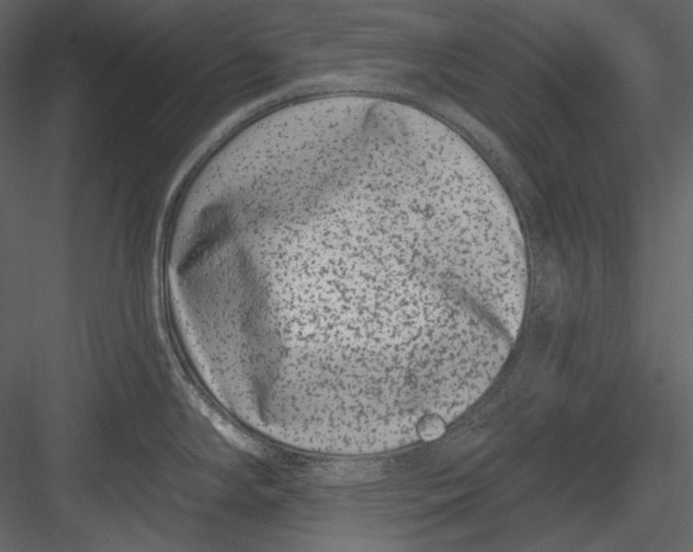 X0000082931294200702222209