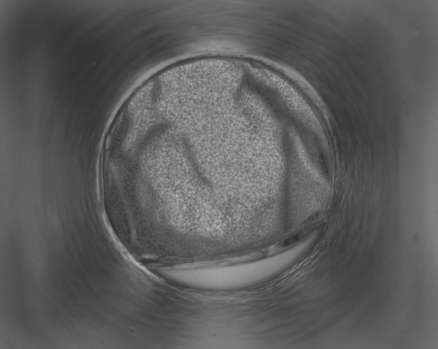 X0000082931295200702222209