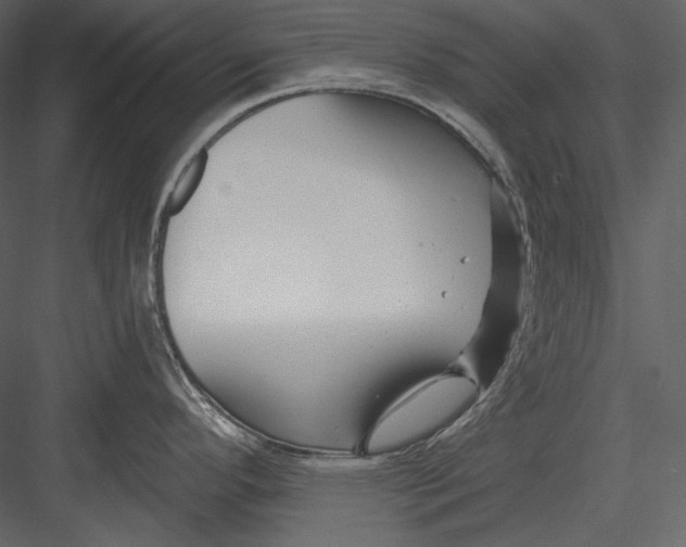 X0000082931296200702222209