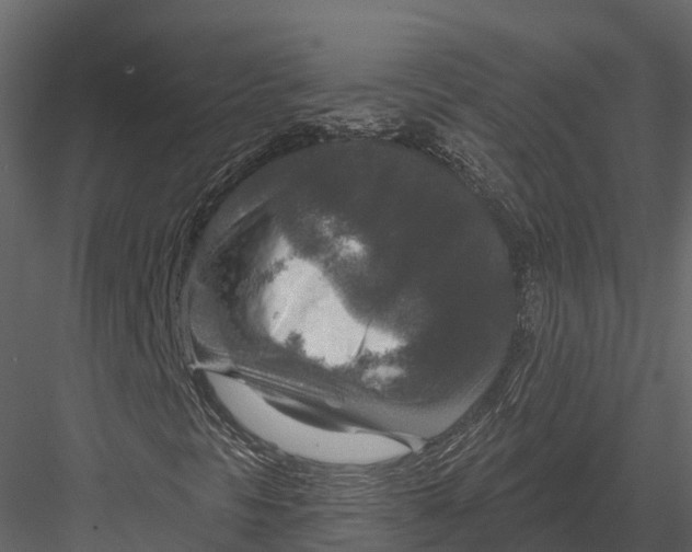 X0000082931297200702222209