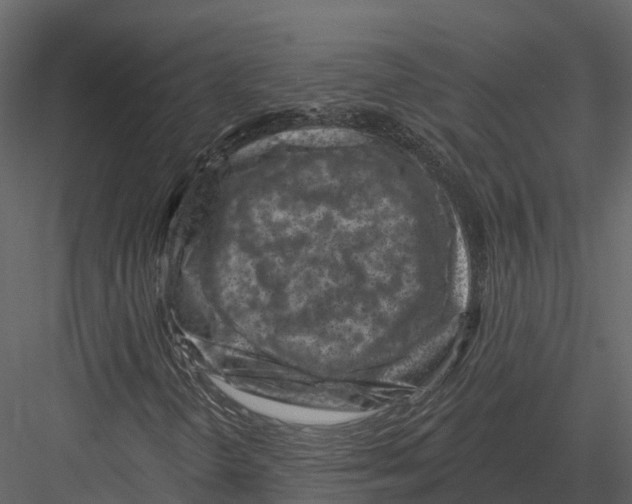 X0000082931298200702222209