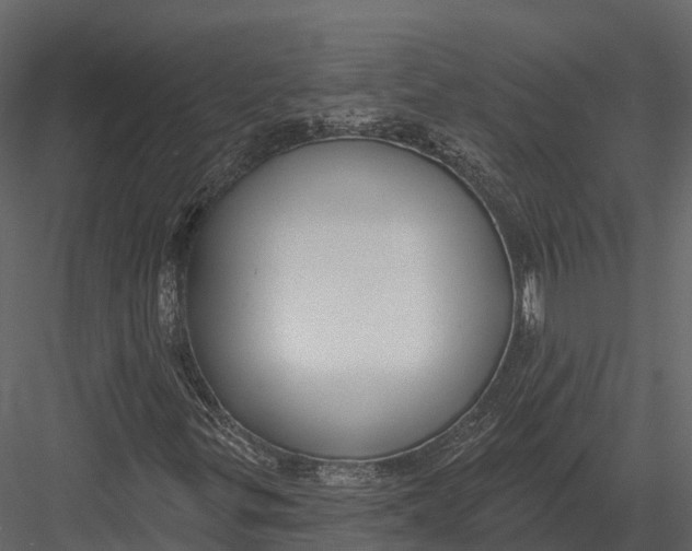 X0000082931299200702222209